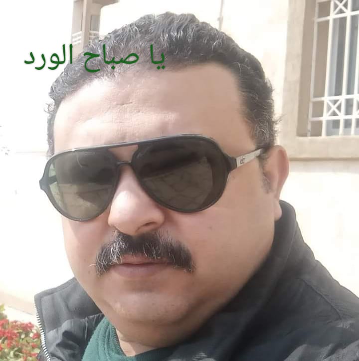 صورة الفني